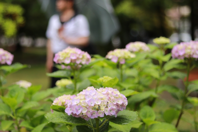 相模原市橋本　巻き爪　雨