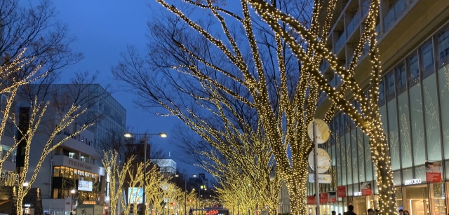 久里浜　巻き爪　景色