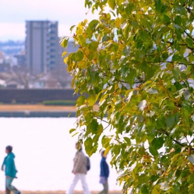 相模大野　巻き爪　