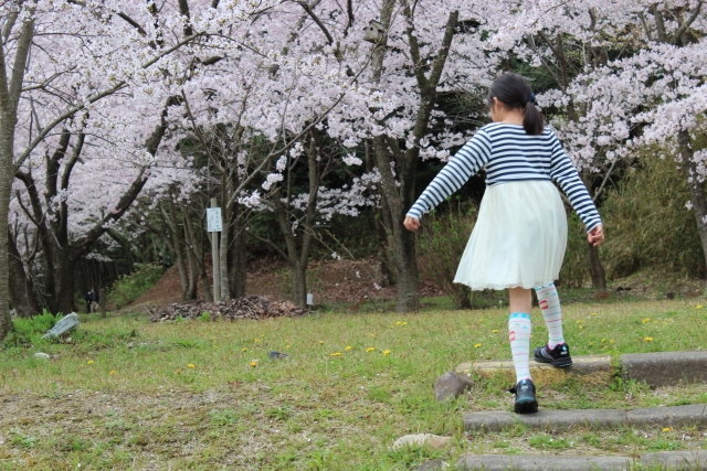 神奈川県　巻き爪　女の子　桜